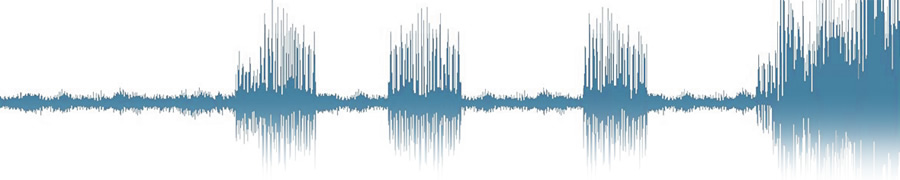 Soundproofing Solutions